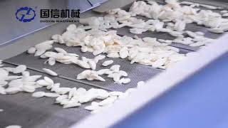 tapioca dryer machine