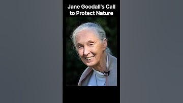 Jane Goodall – Voice of the Wild
