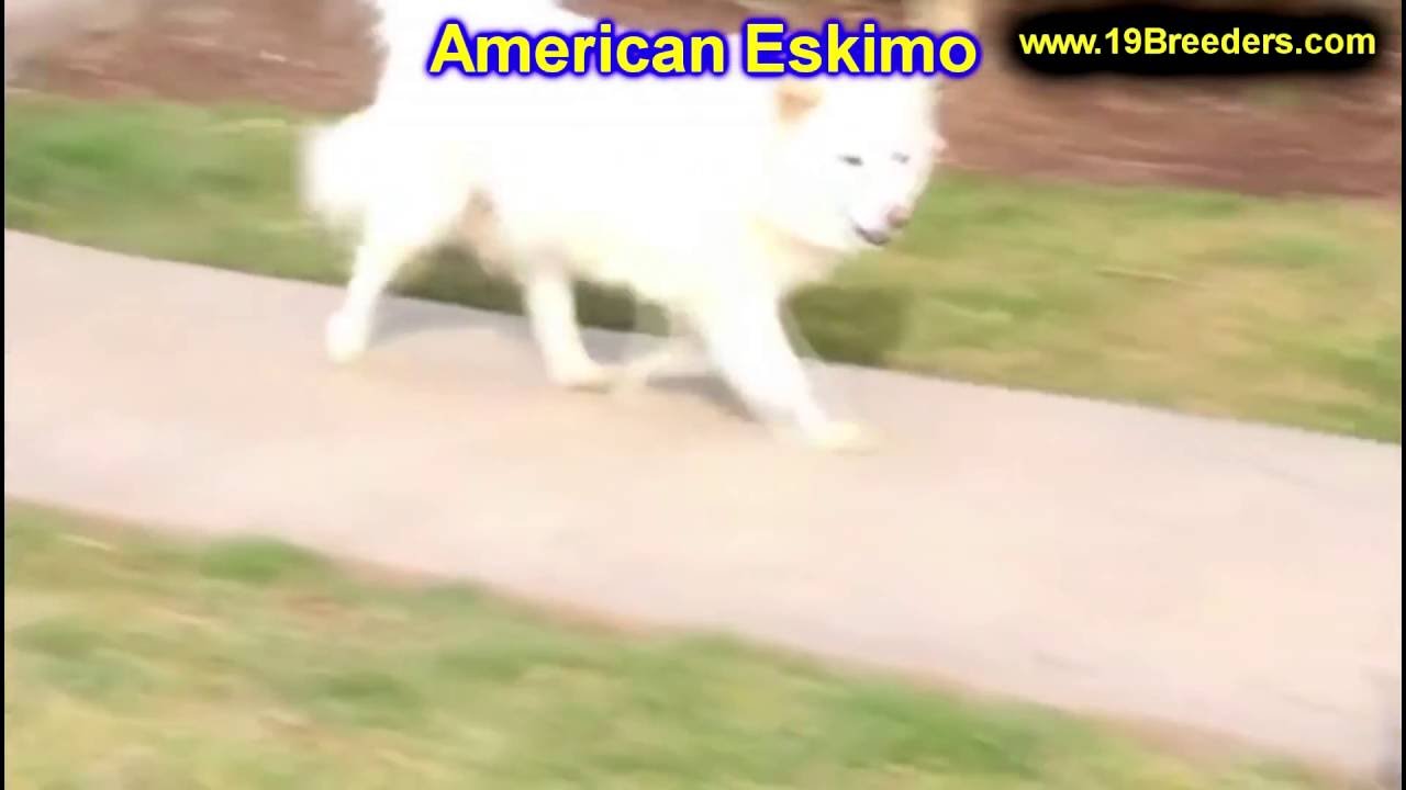 backpage kodiak alaska backpage kodiak alaska