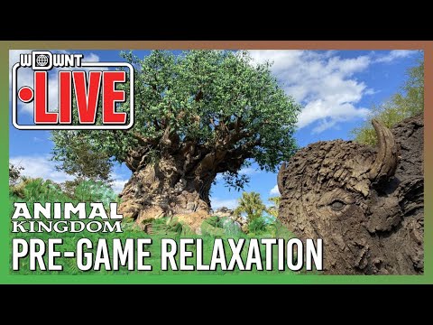 🔴 LIVE Pre-Game