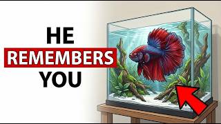 Seven Signs Your Fish Actually Recognizes You