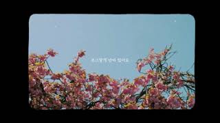 수안 (Swan), 디스토리(D.story) - 봄길 [Lyric Video]