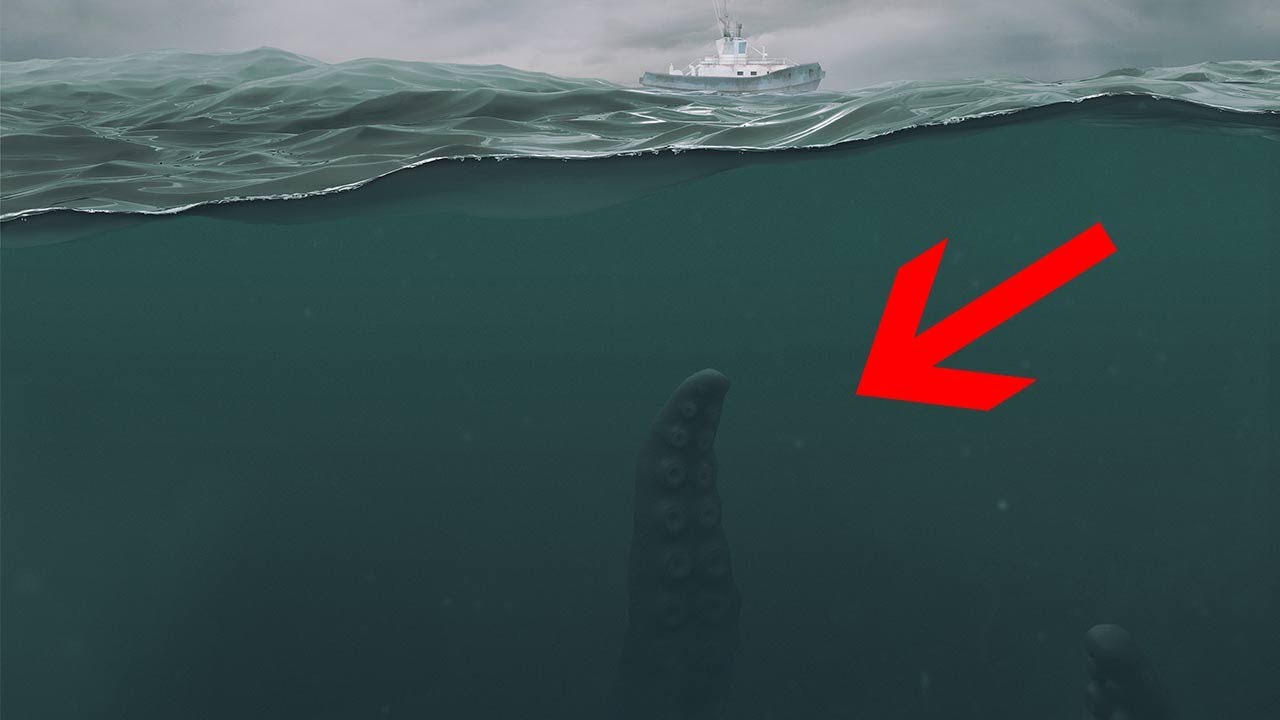 14 Unbelievable Facts about Real GIANT Squid! - YouTube