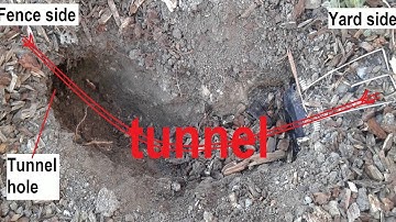Dead End Gonzo Gopher Trap