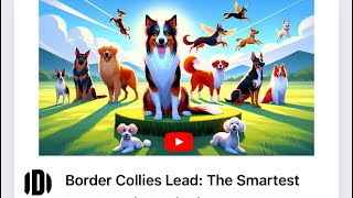 Border Collies Lead: The Smartest Dog Breeds Ranked!!