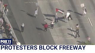 Pro-Palestine protesters briefly block LA freeway traffic