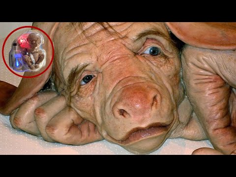 Vidéo: Un Cochon Ressemblant à Un Singe Est Né à Cuba - Vue Alternative