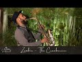 Zombie - The Cranberries / CoverSax