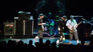 HED PE LIVE PEER PRESSURE