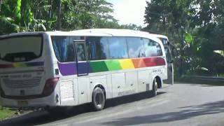 Kereen! BUS SINAR JAYA ON THE ROAD di Tikungan Timez