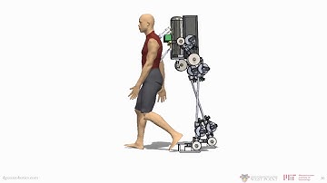 Passive Gait Synchronization of Human-Robot Systems using a Dynamically Coupled Rimless Wheel Model