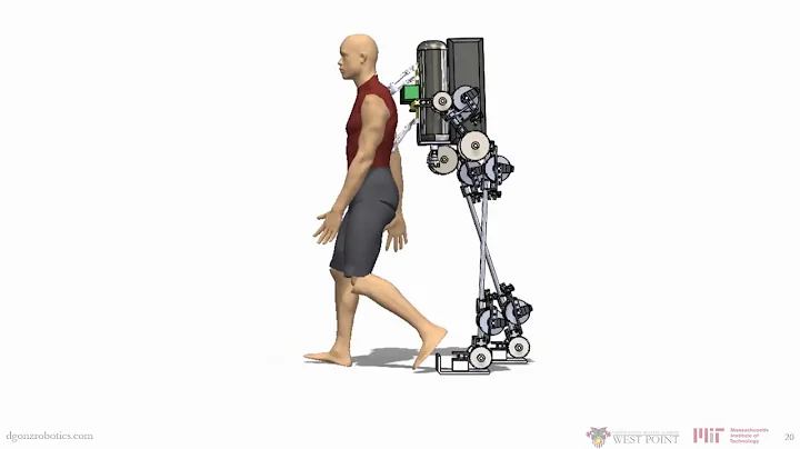 Passive Gait Synchronization of Human-Robot Systems using a Dynamically Coupled Rimless Wheel Model