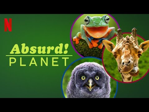 Planeta Absurdo | Tráiler en Español | Netflix