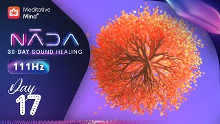 111Hz | Brings Deep Holistic Meditative State | Angelic Healing Music | Nāda : Day 17