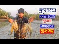 Big Size Golda Prawn / Shrimph Fish Catching in Sundarban at Nigh | Adventure BD
