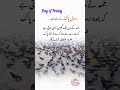 Juma Ke Din Ki Fazilat Blessing Of Friday Prey And Juma Juma Ke Din Ki Fazilat Blessing Of Friday Prey And Juma
