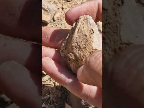 جواهر فوق العاده زیبا 