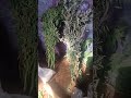 Momento destacado de transmisión en vivo.    https://vt.tiktok.com/ZSPmEBMP5/. tic toc