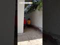 inko Ham leke chale Apne Sang apni nag#new#post#_viral #shot video #Ham aapke Hain Kaun seee...👀👀😍