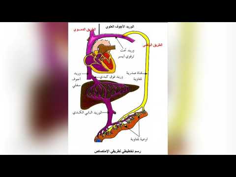 رسومات مهمة جدا في مادة العلوم الطبيعية للسنة الرابعة متوسط