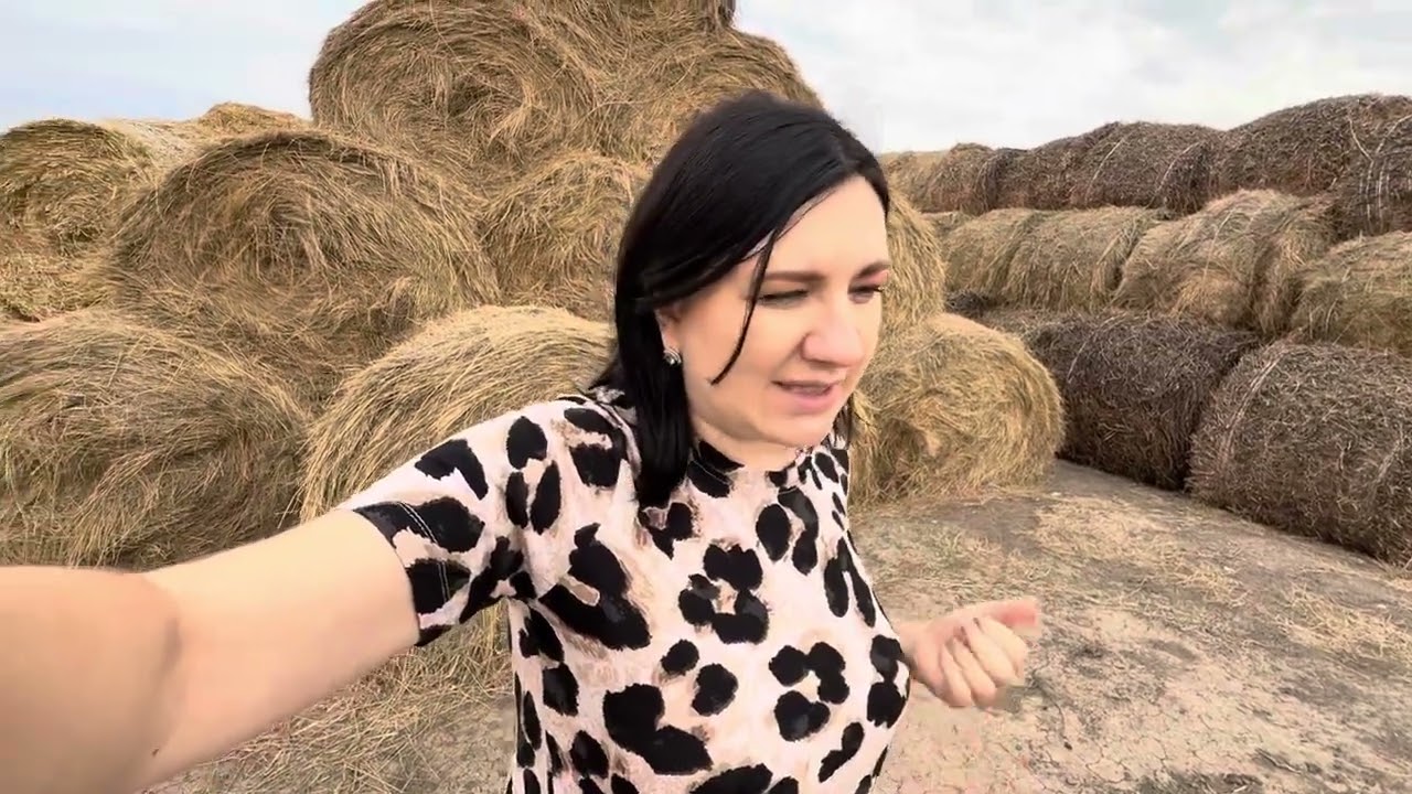 26 августа 2025 г.