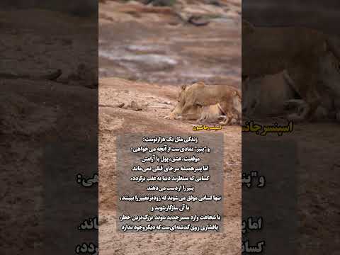 او می گفت هرچه زودتر پنیر قدیمی ات را رها کنی زودتر از پنیر جدید لذت می بری