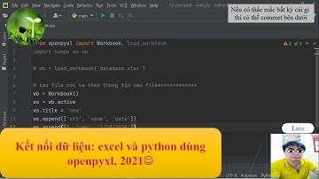 D1: Kết nối dữ liệu excel và python, dùng openpyxl, 2021 "lato