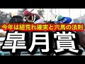 【WIN5予想】2025年皐月賞競馬予想最終結論と買い目発表