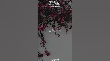 فتوكل على الله إنك على الحق المبين | سورة النمل | المنشاوي #quran
