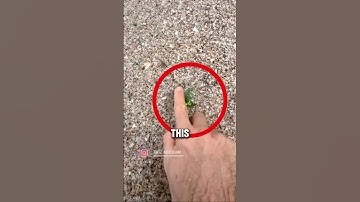 Strandgevaar dat je nog niet kende!😧