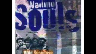 Miniatura del video "Wailing Souls - Feel The Spirit"