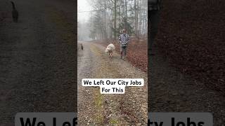 We Left Our City Jobs and Started Over Off-Grid. #offgridliving #simpleliving #homestead