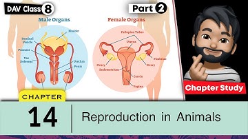 Chapter 14 | Reproduction in Animals | Class 8 DAV Science | Chapter Study (Part 2) 🔥🔥🔥
