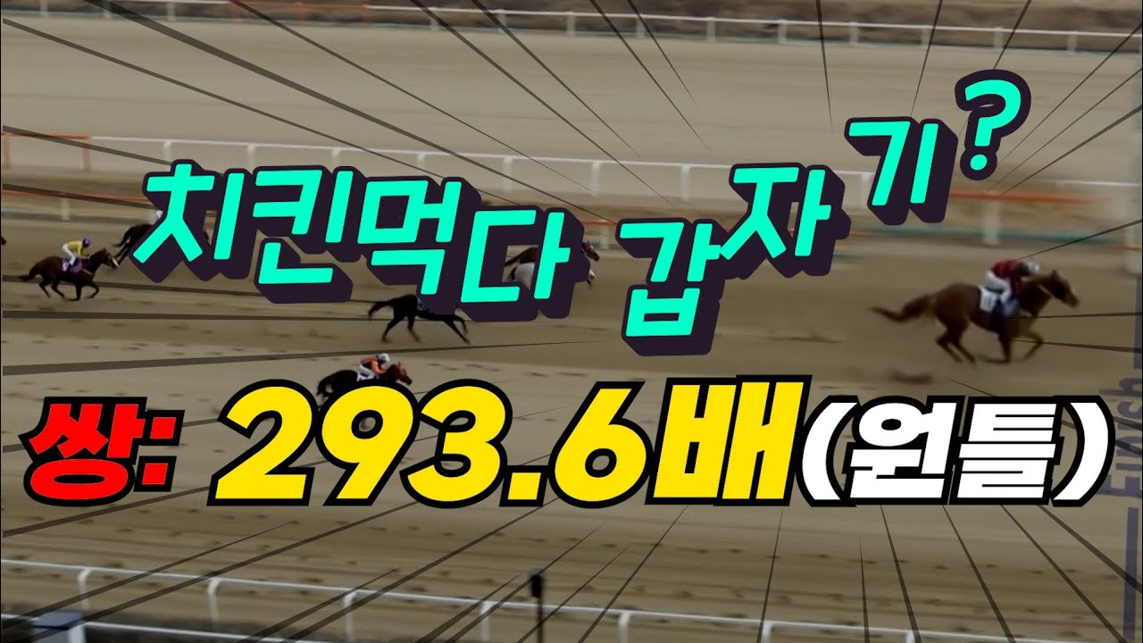 293배 적중~~~일요일까지 꼭!큰배당으로 보답드리겠습니다.