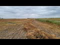 Road trip crazies- checking lentils