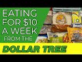 How to Eat for $10 a Week | Dollar Tree Budget Meal Plan | Emergency Grocery Haul