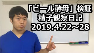 「ビール酵母」で精子はどうなるか？精子観察日記検証。2019.4.22～28