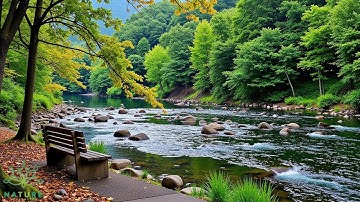 Beautiful Relaxing Music🌿 Stop Overthinking, Stress Relief Music, Sleep Music
