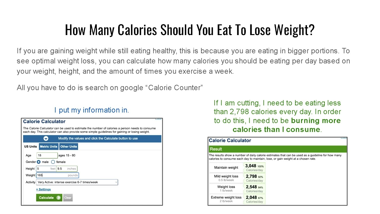 Bodybuilding Presentation - Matthew Weinstein