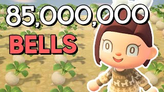 Was this worth it? | Animal Crossing New Horizons