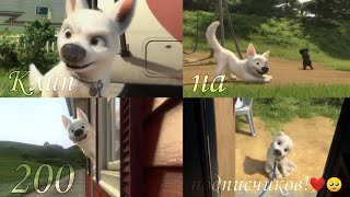 картинка: Вольт и Варежка клип на 200 подписчиков💕