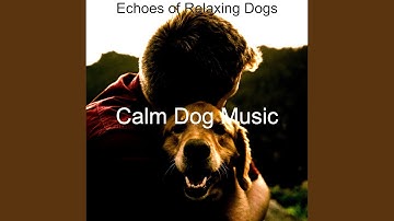 Pulsating Ambiance for Relaxing Dogs