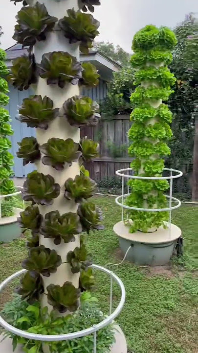 Ghost Grow 843 is the perfect EXAMPLE of a BACKYARD VERTICAL FARM 👏 #towergarden #aeroponics