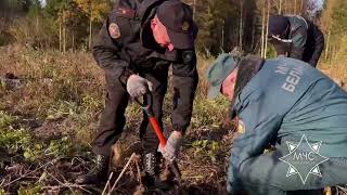 Докшицкие спасатели приняли участие в акции по посадке леса