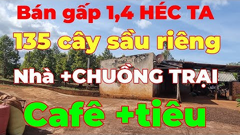 BÁN VƯỜN SẦU RIÊNG VÀ CÀ PHÊ VÀ TIÊU. SẦU RIÊNG 130 CÂY CÓ NHÀ CHUỒNG TRẠI TẠI HUYỆN CHƯ SÊ