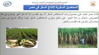 Assiut_ITEC_GS_TSS_Geo_1st _الخامات الزراعية  - المحاصيل السكرية_جغرافية مصر الإقتصادية