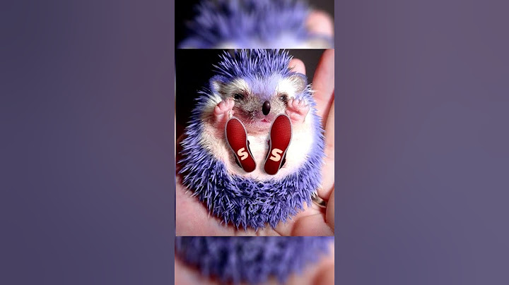 ASI SE VERIAN LOS PERSONAJES DE SONIC🦔 EN LA VIDA REAL😨 #shorts #youtubeshorts