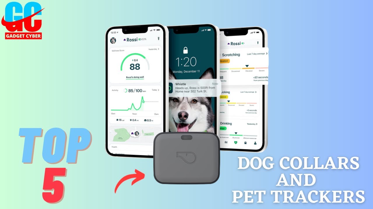 Best GPS Dog Collars and Pet Trackers you can buy in 2023 YouTube