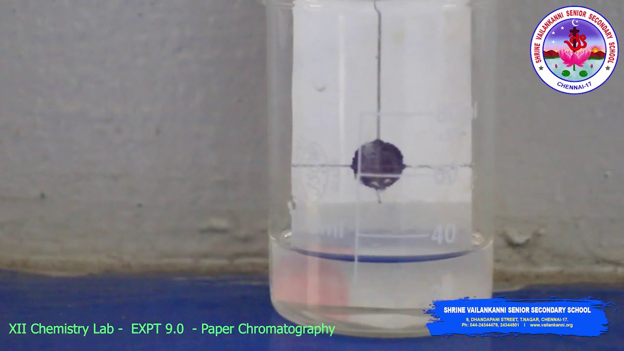 SVSSS XII (12 CBSE) Chemistry Lab 9.0 Paper Chromatography