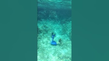 Behind the Scenes Mermaid Photoshoot